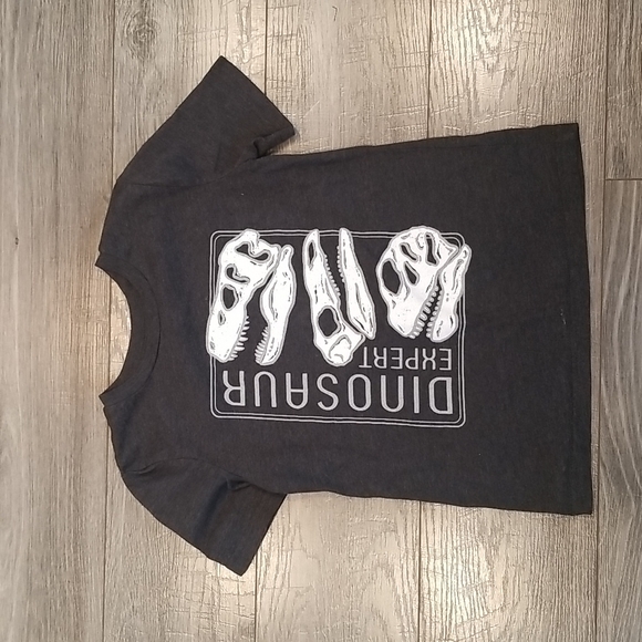 jumping beans Other - Jumping Beans Dinosaur Expert Boys sz 7 tshirt good condition